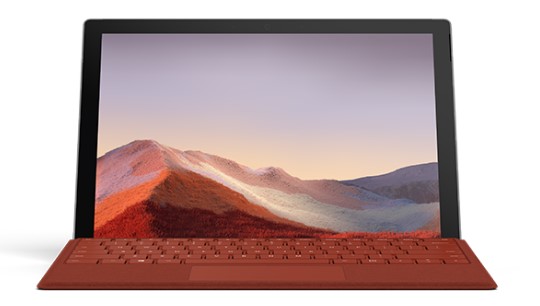毛阳镇清洁和维护 Surface